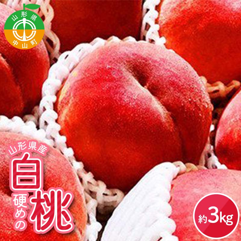 s2026NY sttR`Y d߂̔ 3kg i킨܂ ʕ    t[c  R`Y F4A-0972R`R13000ʕEt[cE