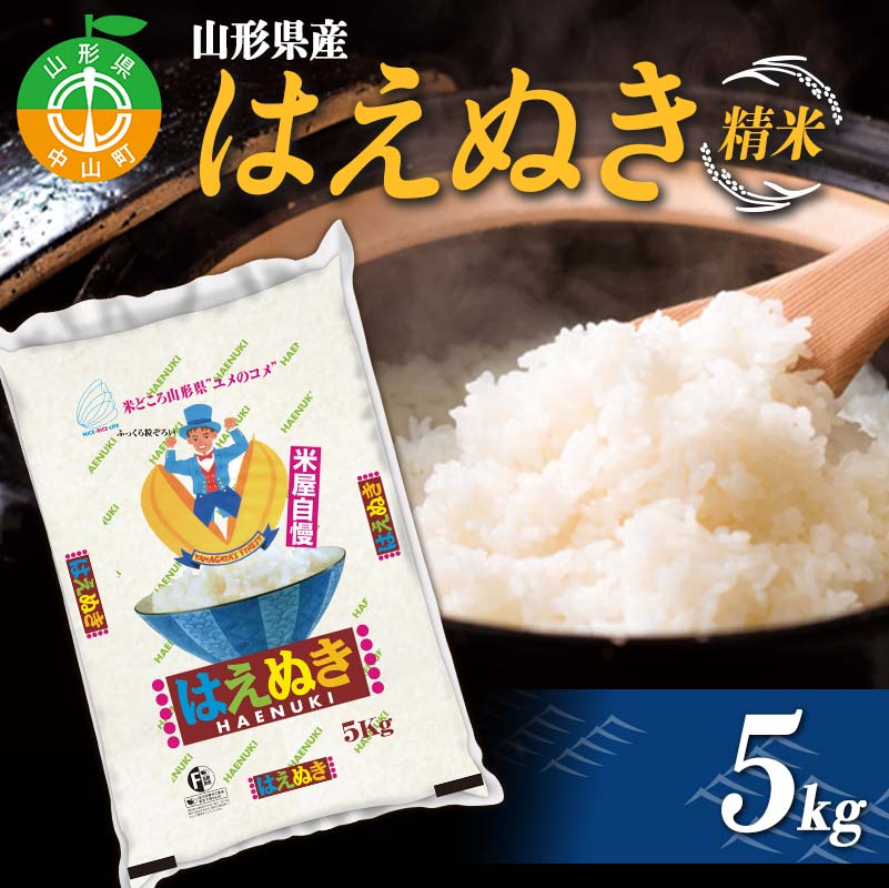 【令和7年度産】 山形県産 はえぬき精米 5kg ≪2025年10月より順次発送≫ ブランド米 こめ ご飯 ごはん 白米 F4A-0980山形県中山町18000米・パン白米