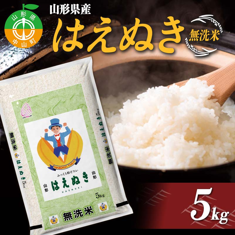 【令和7年度産】 山形県産 はえぬき無洗米 5kg ≪2025年10月より順次発送≫ ブランド米 こめ ご飯 ごはん 白米 エコ 節水 F4A-0981山形県中山町20000米・パン無洗米