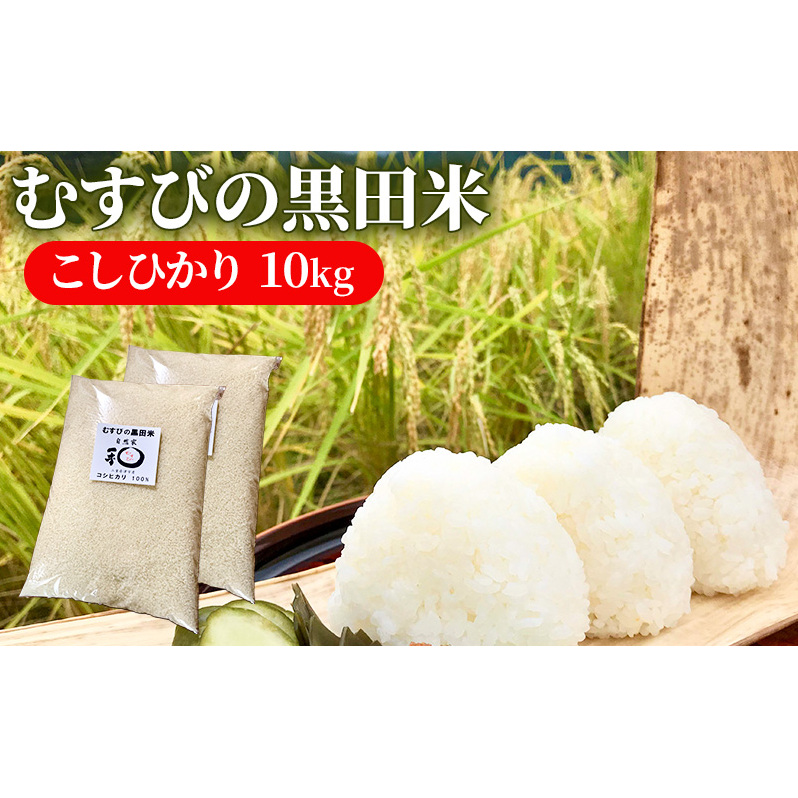 V ނт̍c Ђ 10L [   10kg 5kg×2 RVqJ ٓ ނ ߂Ă ] OdÎs34000āEp