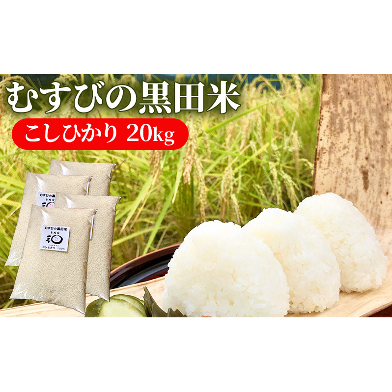 V ނт̍c Ђ 20L [   20kg 5kg×4 RVqJ ٓ ނ ߂Ă ] OdÎs66000āEp