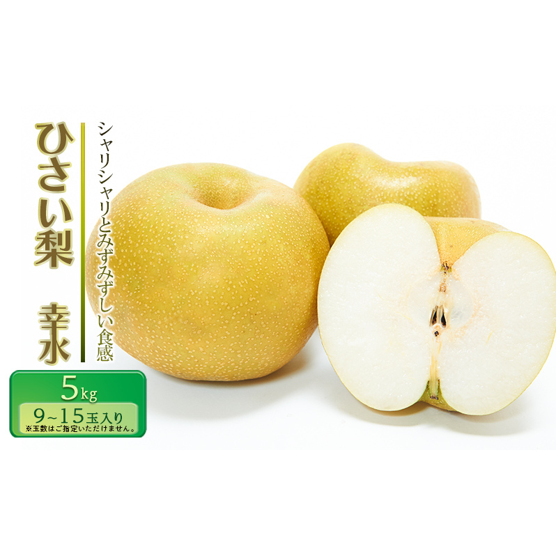 ys\zЂ K 5kgyʎ Gz [  iV ʕ t[c Yn ] OdÎs21000ʕEt[c񂲁E