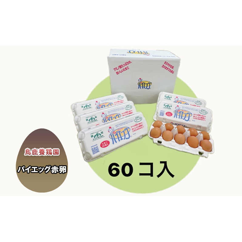 pCGbOԗ60R [ Ԃ܂ VN Z RN  ܂ {  {{ ] OdÎs12000Eii{AG{j