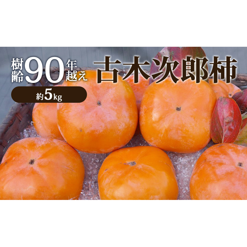 90NzÖ؎Y` 5kg [  JL ʕ t[c Yn ] ʕ OdÎs12000ʕEt[c̑ ʕEt[c