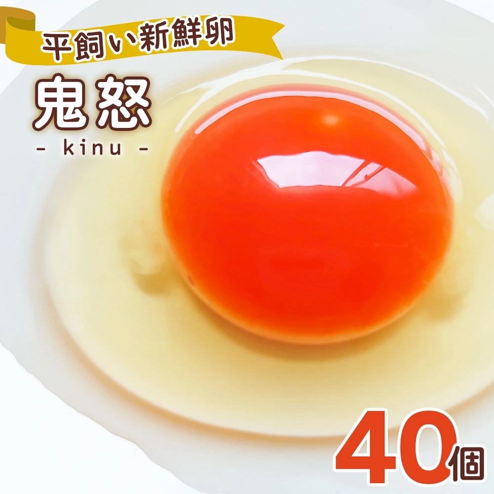gIVNuS{v40bsY  藑 ܂ ʎq  { [0280]Ȗ،s16000Eii{AG{j