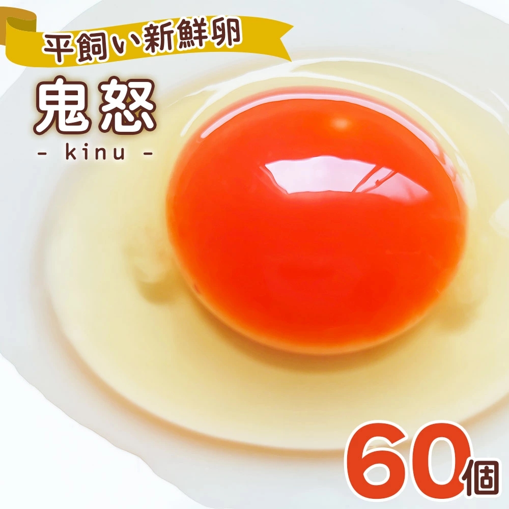 gIVNuS{v60bsY  藑 ܂ ʎq  { [0281]Ȗ،s23000Eii{AG{j