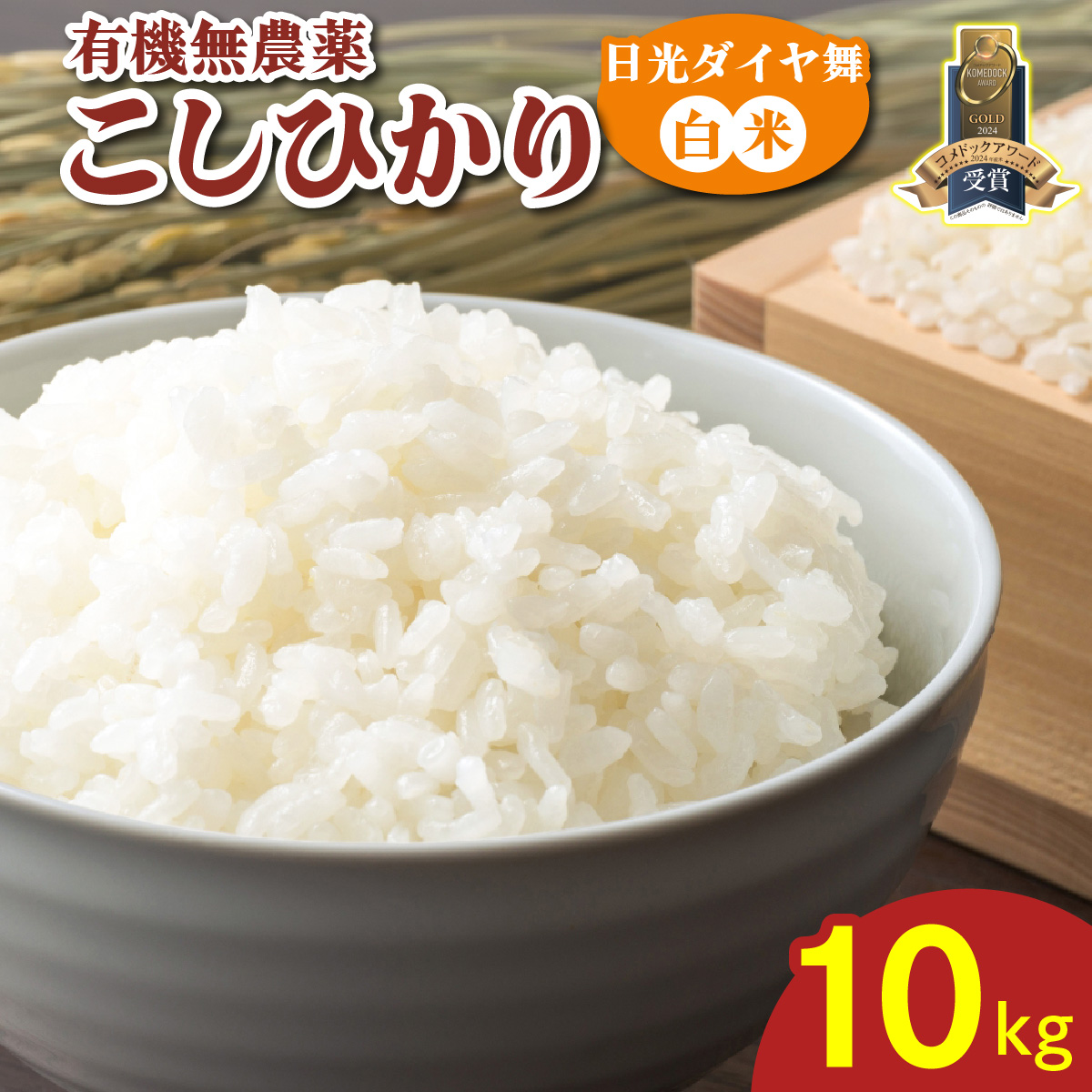 [s\^ߘa7Nx] Ђ [_C^10kg] ߘa7N10{菇b2025Nx L@͔| I[KjbN JASL@] RVqJ   ͂ Y Yny