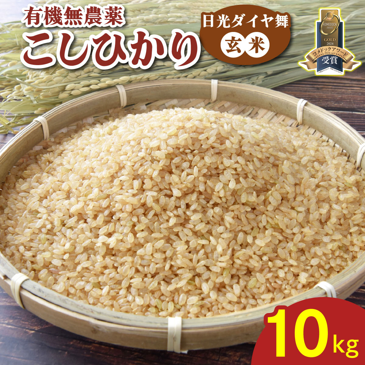 先行受付] こしひかり [日光ダイヤ舞／玄米20kg (5kg×4袋)] 令和