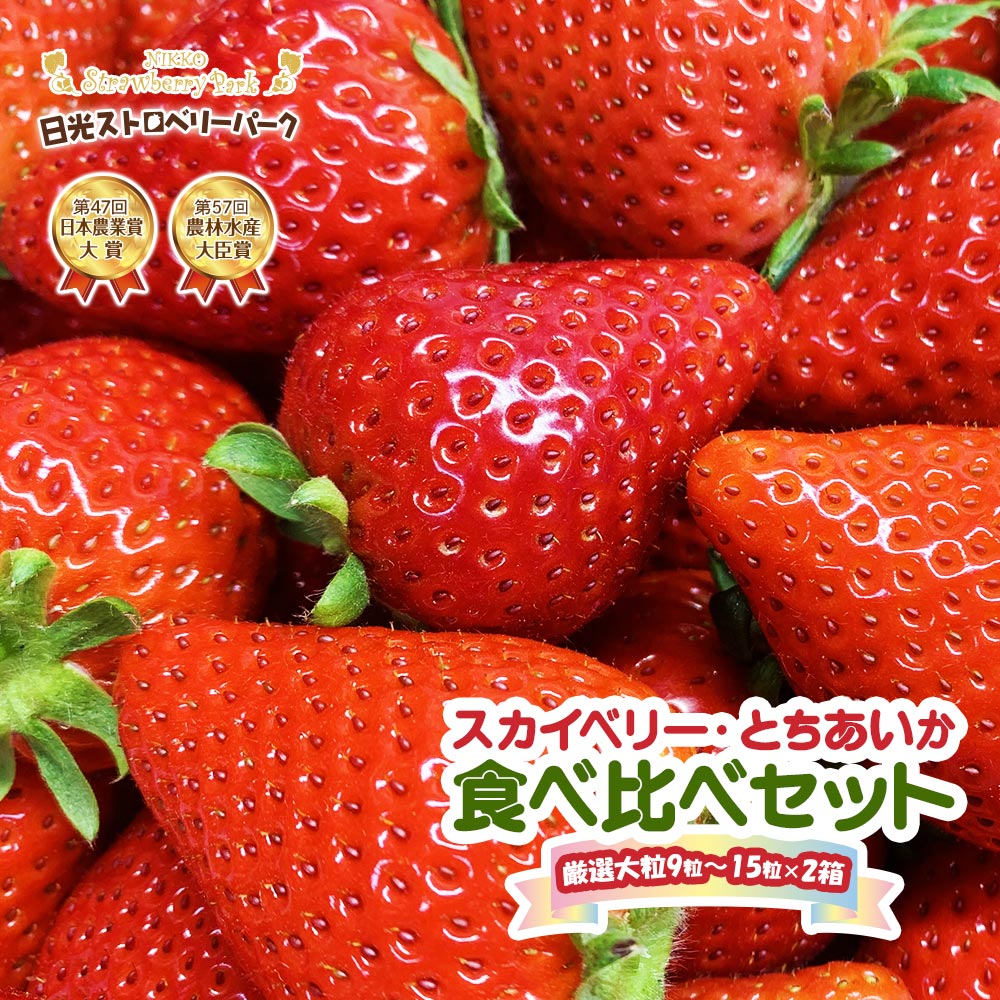 [s\] v~AwXJCx[xViwƂxHה׃Zbg 嗱̂݌I 915l 420g×2 [2026N1{菇]bXgx[p[N XJCx[