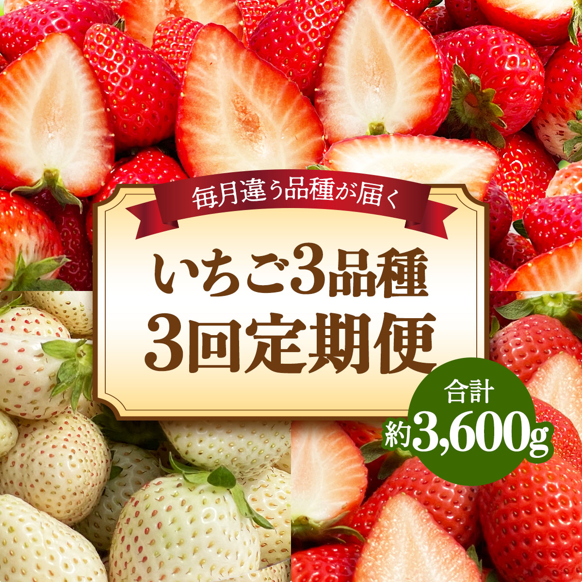 [s\] [ց^3] Y lĈ3i (1i 1.2kg×3 v3.6kg) [2026N1{珇]bƂ ~L[x[ XJCx[  C`S  ʕ 