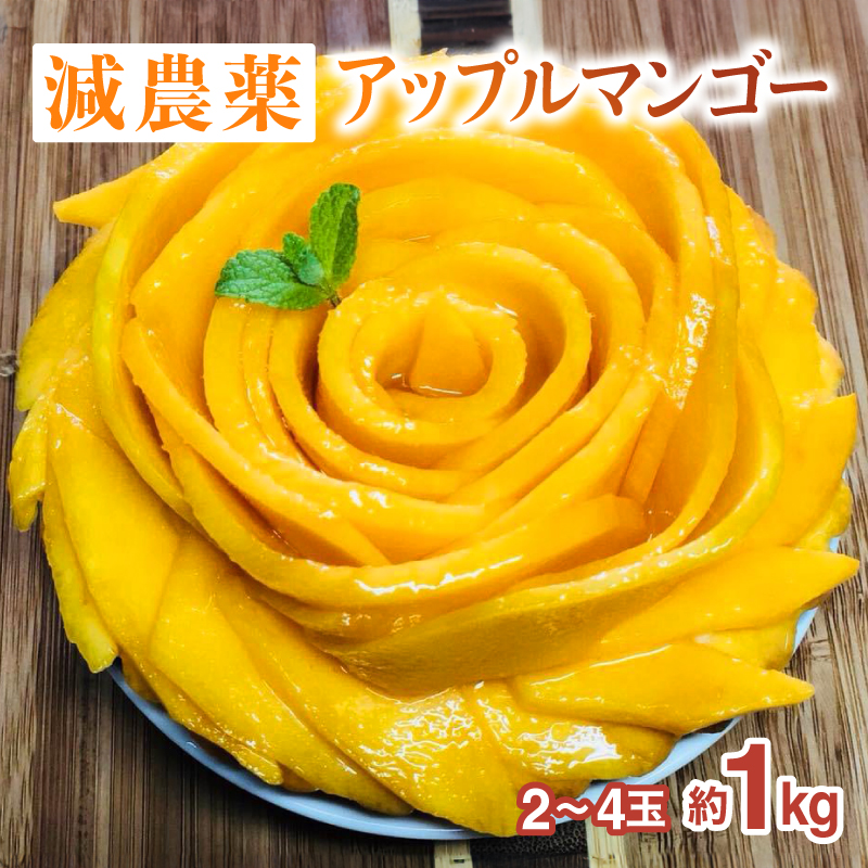 2026年 先行予約 栽培期間中 減農薬 アップルマンゴー  約1kg 2〜4玉 アナナス農園 完熟 マンゴー 果物 フルーツ 023-a003_2026沖縄県竹富町19000果物・フルーツマンゴー・パイナップル