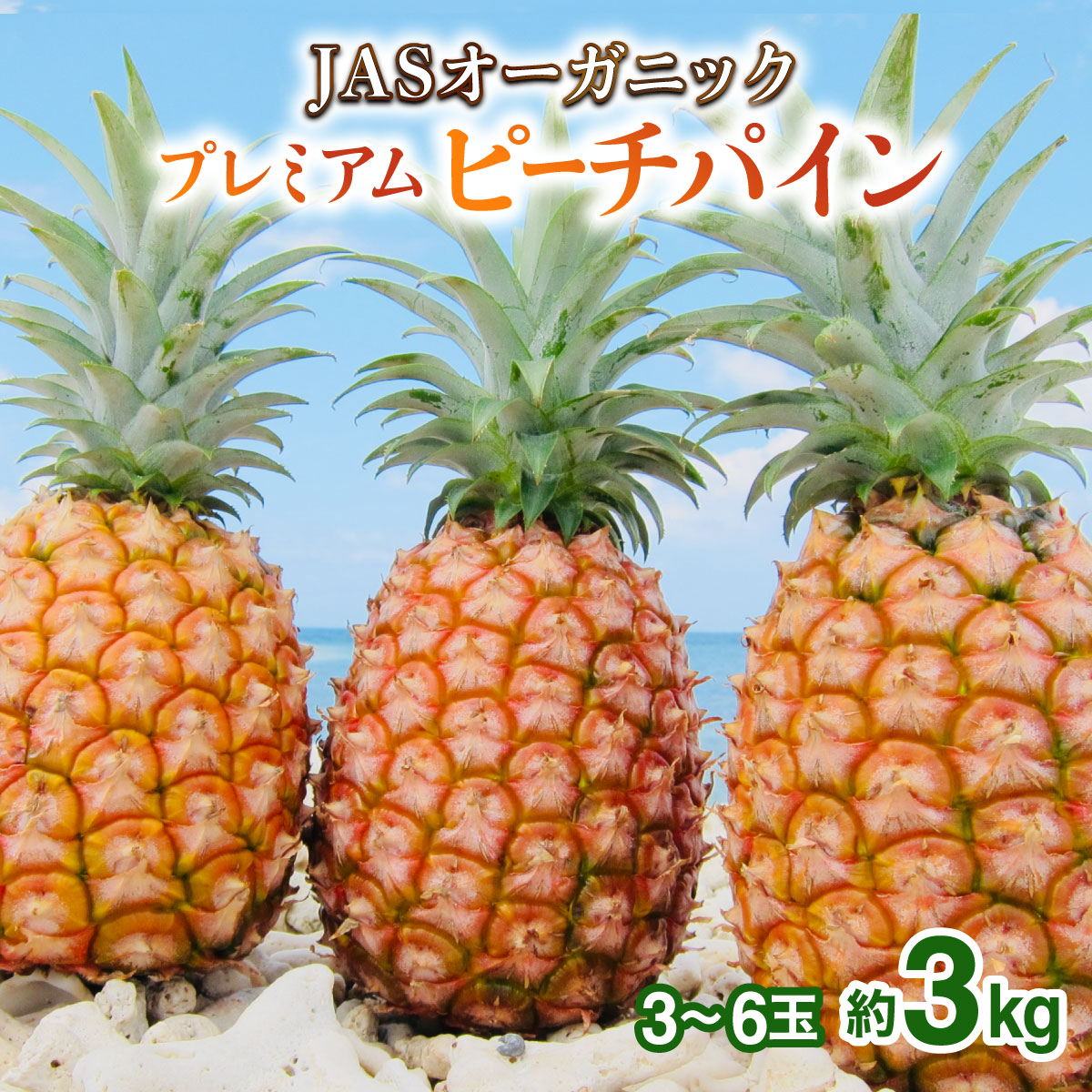 【JASオーガニック】 プレミアムピーチパイン 約3kg 3〜6玉 023-a012_2026沖縄県竹富町21000果物・フルーツマンゴー・パイナップル