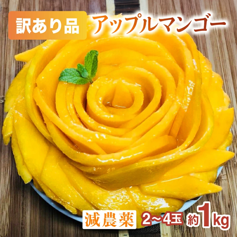 【訳あり】減農薬 アップルマンゴー 約1kg 2〜4玉 【2026年6月中旬以降順次発送】アナナス農園 完熟 マンゴー 果物 フルーツ 023-a023_2026沖縄県竹富町16000果物・フルーツマンゴー・パイナップ