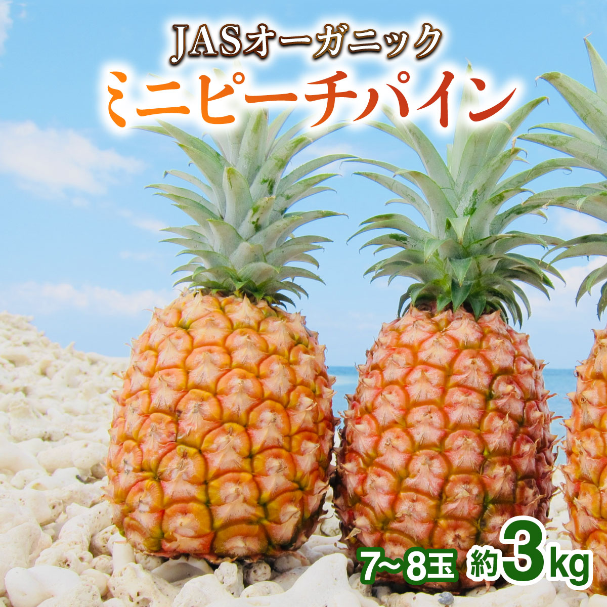 2026年 先行予約 パイナップル ついに実現!転換期間中 JASオーガニック ミニピーチ 3kg (7〜8玉) 023-a024_2026沖縄県竹富町19000果物・フルーツマンゴー・パイナップル