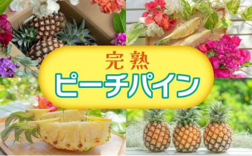 2024年 先行予約 人気No.5 西表島ナウパカ 完熟 プレミアム ピーチパイン 約2Kg ☆栽培期間中 農薬・化学肥料不使用☆ 西表島ナウパカ沖縄県竹富町20000果物・フルーツマンゴー・パイナップ