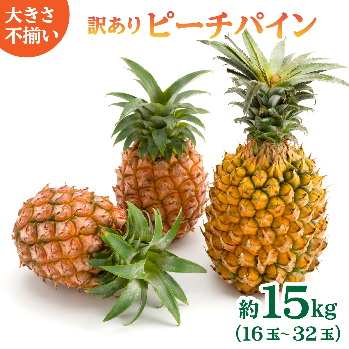 󂠂 s 2026N s\ s[`pC 15kg 16ʁ`32  ĂpłЉꂽ \Ђ炢_ Z pC ʕ pCibv t[c 027-a026_2026ꌧ|x32000ʕEt[
