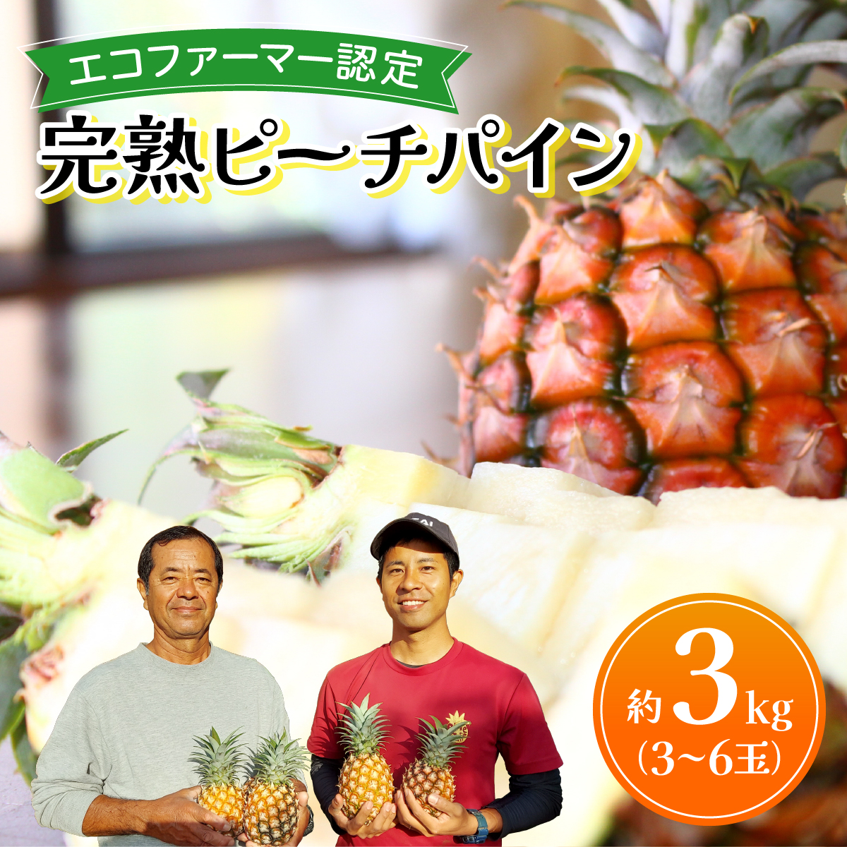 《2026年先行予約》ピーチパイン 約3kg 3〜6玉 農園ファイミール 完熟 果物 フルーツ 031-a004_2026沖縄県竹富町12000果物・フルーツマンゴー・パイナップル