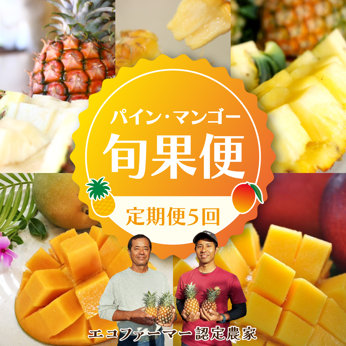 定期便 5回 2026年 先行予約 パイナップル マンゴー 旬果便 農園ファイミール 果物 フルーツ お楽しみ  031-a011_2026沖縄県竹富町68000果物・フルーツマンゴー・パイナップル