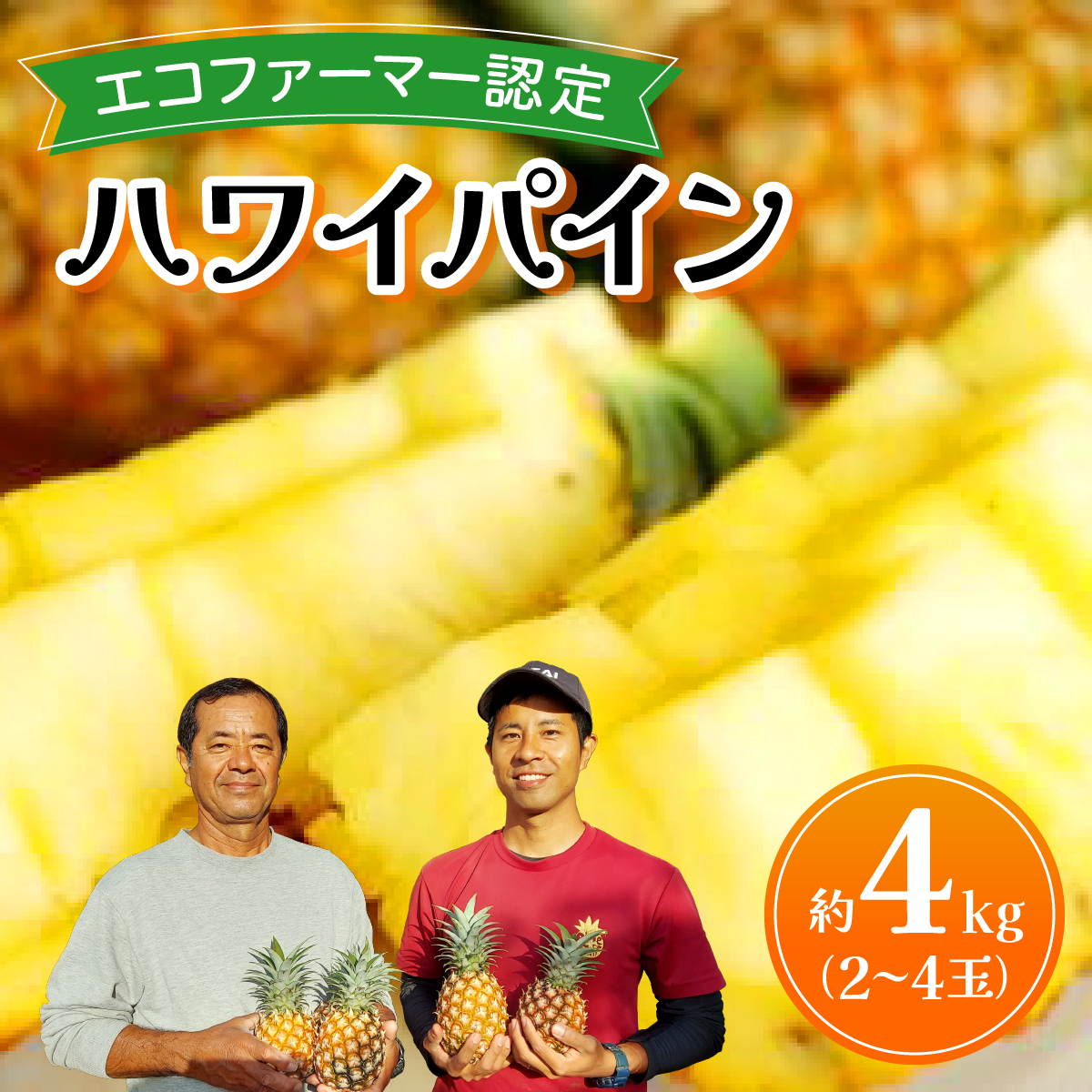 《2026年先行予約》ハワイパイン約4kg 【お届け:2026年6月中旬〜7月下旬】【農園ファイミール 完熟 果物 フルーツ パイン パイナップル】 031-a026_2026沖縄県竹富町13000果物・フルーツマンゴー