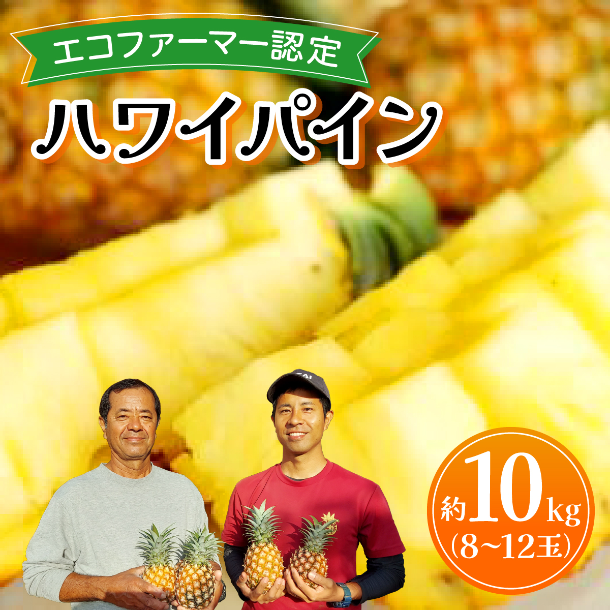 《2026年先行予約》ハワイパイン約10kg 【お届け:2026年6月中旬〜7月下旬】【農園ファイミール 完熟 果物 フルーツ パイン パイナップル】031-a028_2026沖縄県竹富町24000果物・フルーツマンゴー