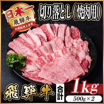 飛騨牛 厳選切り落とし(焼肉・BBQ用)1kg A4〜A5 訳あり【配送不可地域:離島】【1487351】岐阜県羽島市25000肉牛肉