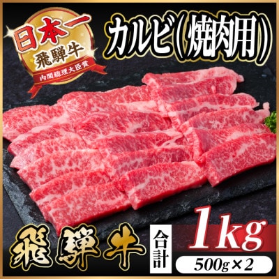 飛騨牛 厳選カルビ(焼肉・BBQ用)1kg(500g×2) A4〜A5等級 小分け【配送不可地域:離島】【1487353】岐阜県羽島市22000肉牛肉