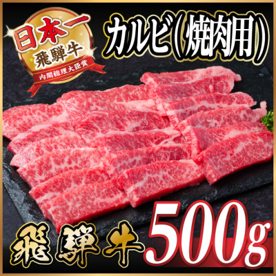 飛騨牛 厳選カルビ(焼肉・BBQ用)500g A4〜A5等級【冷凍便】【配送不可地域:離島】【1487355】岐阜県羽島市13000肉牛肉