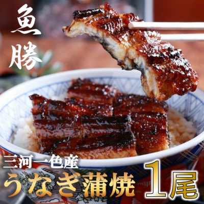 三河一色産うなぎ蒲焼 1尾<約160g>【配送不可地域:離島】【1532715】岐阜県羽島市22000魚介・海産物うなぎ