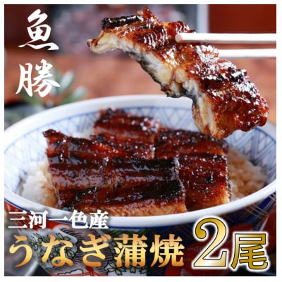 三河一色産うなぎ蒲焼 2尾〈計約320g〉【配送不可地域:離島】【1532718】岐阜県羽島市38000魚介・海産物うなぎ
