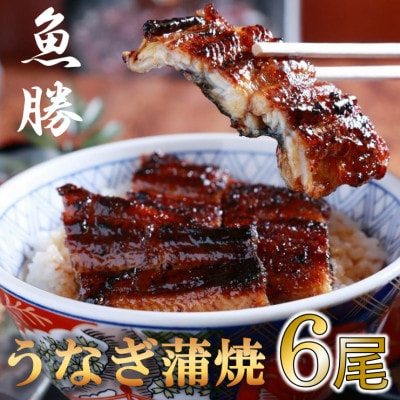 中国産うなぎ蒲焼 6尾〈計約960g〉【配送不可地域:離島】【1532726】岐阜県羽島市90000魚介・海産物うなぎ