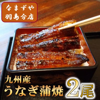 九州産うなぎ蒲焼 2尾〈計約240g〉【配送不可地域:離島】【1533660】岐阜県羽島市38000魚介・海産物うなぎ