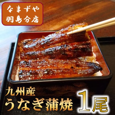 九州産うなぎ蒲焼 1尾〈約120g〉【配送不可地域:離島】【1533661】岐阜県羽島市22000魚介・海産物うなぎ