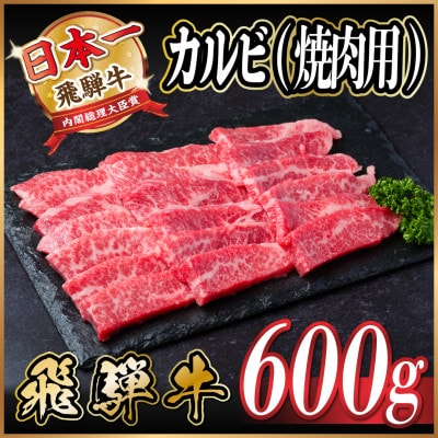 飛騨牛 厳選カルビ(焼肉・BBQ用)600g A4〜A5等級 小分け【配送不可地域:離島】【1543783】岐阜県羽島市14500肉牛肉