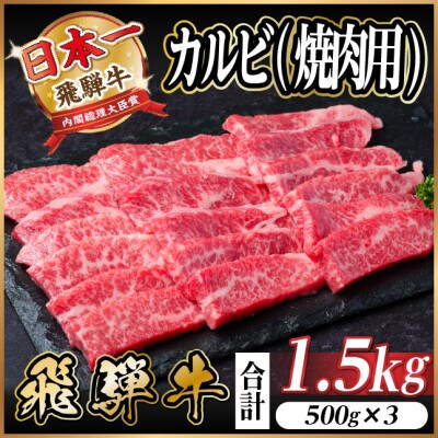 飛騨牛 厳選カルビ(焼肉・BBQ用) 1.5kg(500g×3) A4〜A5等級 小分け【配送不可地域:離島】【1543785】岐阜県羽島市33000肉牛肉
