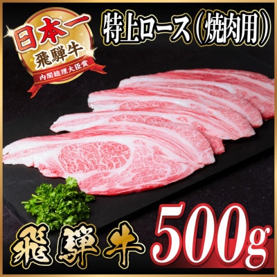 飛騨牛 特上ロース(焼肉・BBQ用)500g A5等級 黒毛和牛【配送不可地域:離島】【1543790】岐阜県羽島市24000肉牛肉