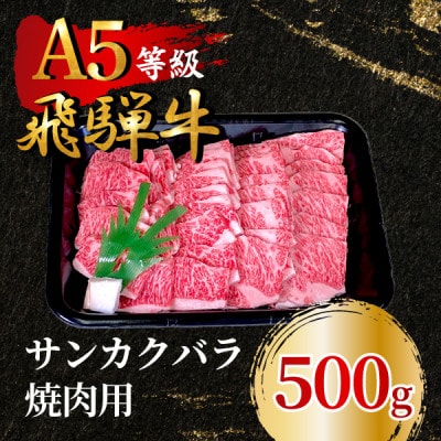 飛騨牛5等級 サンカクバラ焼肉用500g FTA284【配送不可地域:離島】【1578300】岐阜県羽島市40500肉牛肉