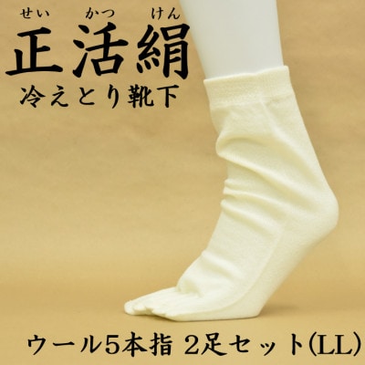 正活絹 冷えとり靴下 ウール5本指 2足セット(LLサイズ)【1583798】岐阜県羽島市11000衣類・装飾品・工芸品その他 装飾品・工芸品