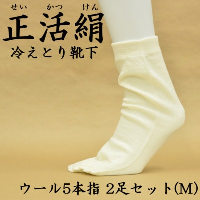 正活絹 冷えとり靴下 ウール5本指 2足セット(Mサイズ)【1583806】岐阜県羽島市10000衣類・装飾品・工芸品その他 装飾品・工芸品