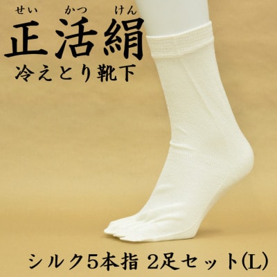 正活絹 冷えとり靴下 シルク5本指 2足セット(Lサイズ)【1584069】岐阜県羽島市13000衣類・装飾品・工芸品その他 装飾品・工芸品