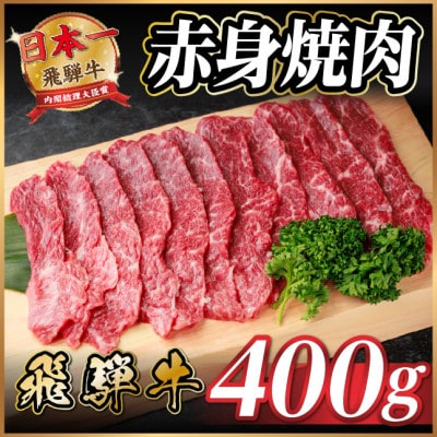 ˋ Ԑg(ēEBBQp) 400gy①ցzA4`A5 јayzsnFzy1646132z򕌌Hs12000