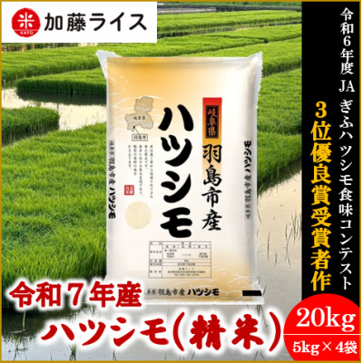 令和7年産 岐阜県羽島市産ハツシモ 精米20kg(5kg×4袋)【1669151】岐阜県羽島市53500米・パン白米