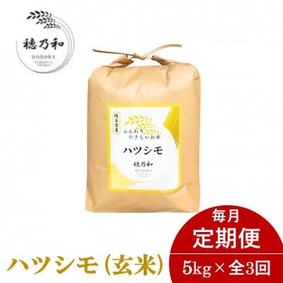 令和6年度 はえぬき 10kg 玄米 はえぬき 令和6年産 米 お米 10kg×2 玄米20kg 山形産 白米・無