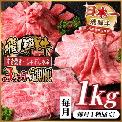 【毎月定期便】飛騨牛 厳選すき焼き・しゃぶしゃぶ用 定期便 1kg全3回【配送不可地域:離島】【4072496】岐阜県羽島市95000肉牛肉