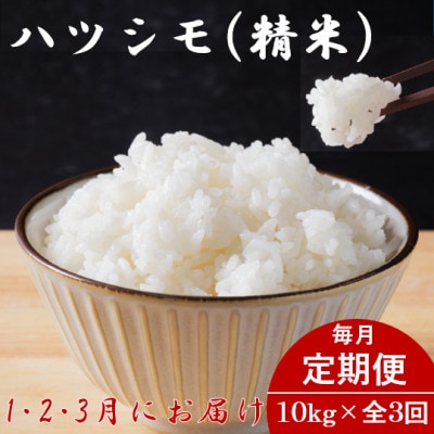 【発送月固定定期便】生産者応援!岐阜県産ハツシモ(精米)10kg【1・2・3月発送】全3回【配送不可地域:離島】【4073157】岐阜県羽島市80000米・パン白米