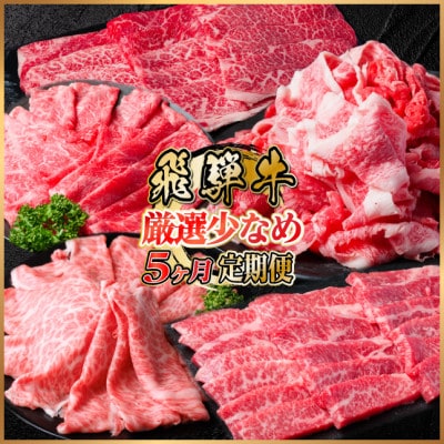 【毎月定期便】飛騨牛 厳選少なめ定期便 計1.6kg カルビ・赤身(焼肉・BBQ用)ロース全5回【配送不可地域:離島】【4075149】岐阜県羽島市50000肉牛肉