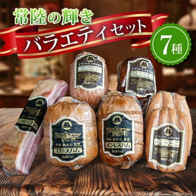 銘柄豚「常陸の輝き」バラエティブロック7品(筑波ハム ハム・ベーコン・ソーセージ・焼豚) 茨城県産【配送不可地域:離島・沖縄】【1446253】茨城県58000肉加工肉(ハム・ソーセージ等)