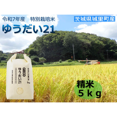 令和7年産 特別栽培米「ゆうだい21」精米5kg【配送不可地域:離島・沖縄】【1557706】茨城県17000米・パン白米