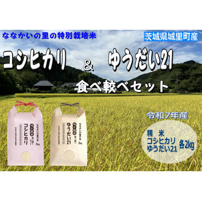 令和7年産【特別栽培米】「コシヒカリ」&「ゆうだい21」食べ較べセット4kg(2kg×2袋)【配送不可地域:離島・沖縄】【1557707】茨城県14000米・パン白米