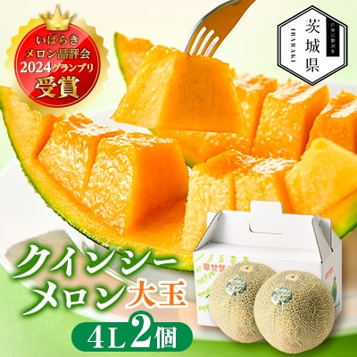 【先行受付】令和8年4月順次発送 茨城県鉾田市 山一ファーム クインシーメロン 大玉4L〜5L・2玉【配送不可地域:離島・沖縄】【1590731】茨城県18000果物・フルーツメロン・スイカ