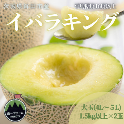 【先行受付】令和8年5月順次発送 茨城県オリジナル品種!! イバラキング 4L〜5L・2玉 数量限定【配送不可地域:離島・沖縄】【1590736】茨城県18000果物・フルーツメロン・スイカ